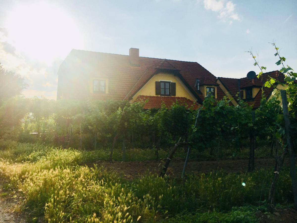 Landhaus Weinblick Rohrendorf bei Krems Bagian luar foto