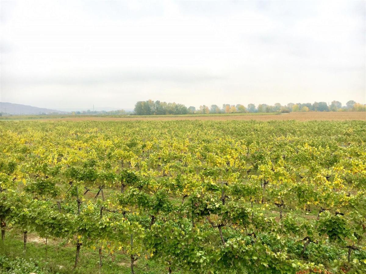 Landhaus Weinblick Rohrendorf bei Krems Bagian luar foto